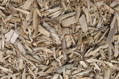 biomass boilers Tremayne