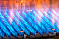 Tremayne gas fired boilers